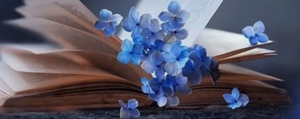 Школска библиотека